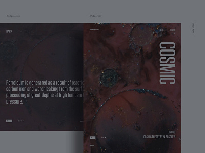 Oil desktop e commerce exploded grid minimal minimalism pure site ui ux web