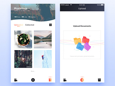 Image/Picture Video Collection Library Share collection documents folder gif imagepicture jpg library mov png share video