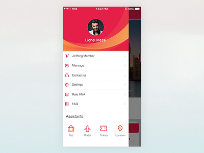 Airline APP aviation icon tickets ui