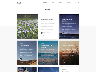 Cde Oradea - Articles Page articles website