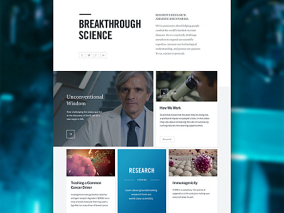 Genentech Architecture Redesign grid layout module tiles typography ui visual web website