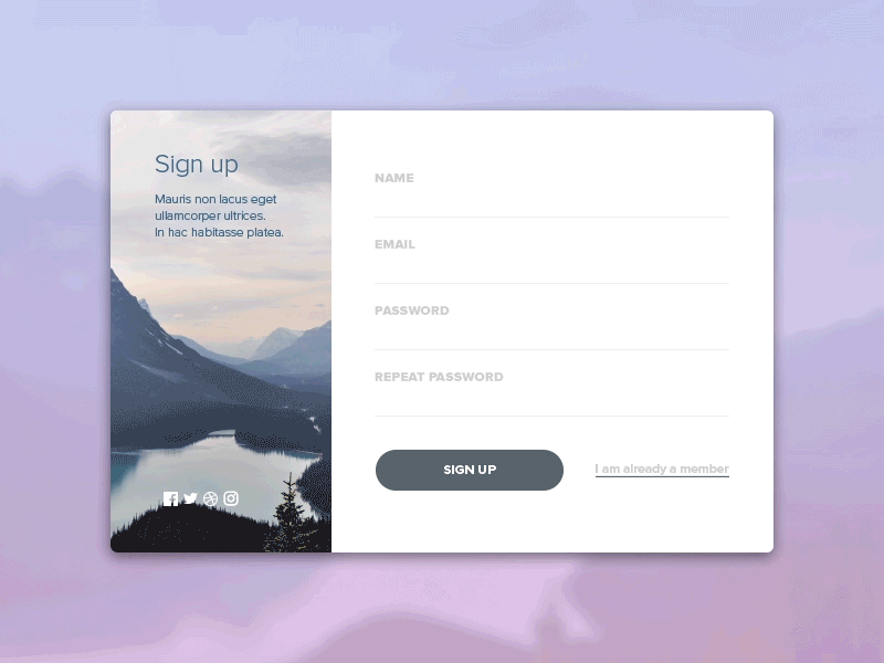 UI Challenge 001 :: Sign Up aep animation dailyui debut signup ui uichallenge