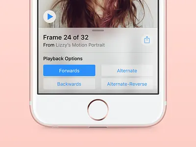 Sequence Playback Options interaction design interface design playback options translucency