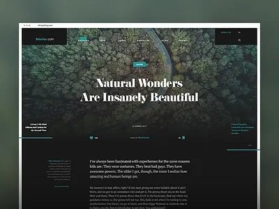 Article page article blog nature post stories web