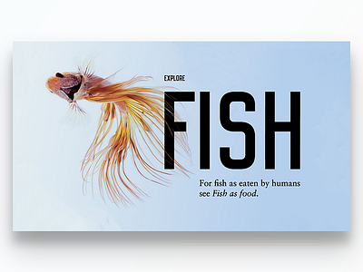Smooth Screen card design focus minimal screen typography ui ux web