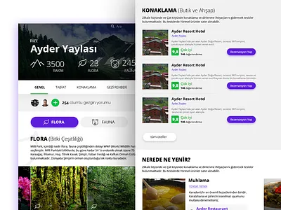 Natural Holiday booking detail page holiday natural page travel ui ux world