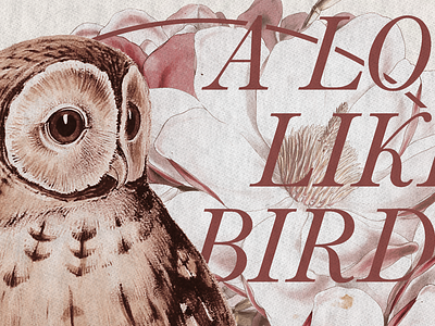 ALLB apparel bird floral flowers geometry nature owl shirt tshirt type typography vintage