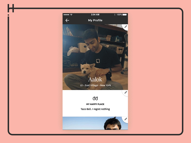 Example of Hinge Profile Editing: Prompt