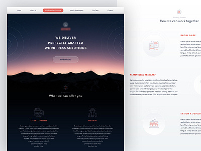 Website for Software Company web design webdesign website