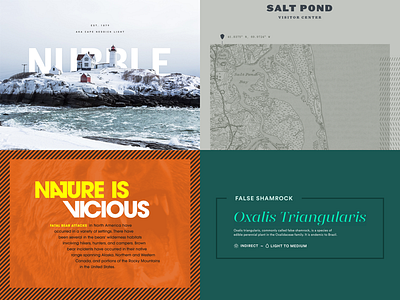 Boston Design Team Type Challenges outdoors poster type typography