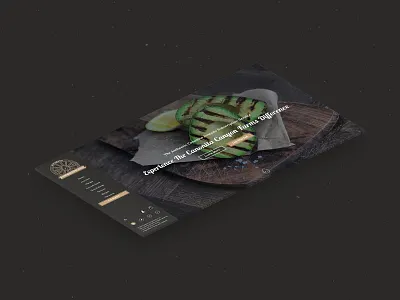 Canonita Avocados Website Hero affinity designer avocados hero hipster perspective ui design ux design vintage website website design website development