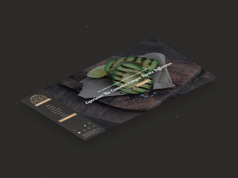 Example of Canonita Avocados Website Hero