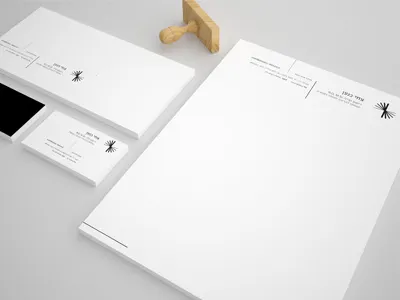 Tzachi Knaan Branding branding logo design