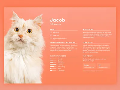 Universe User Personas marketing persona ui user ux