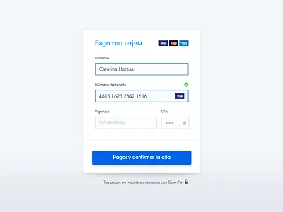 Check Out checkout clean form input payment flow web design blue