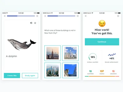 Quizlet - Learn data visualizations education flashcards graphics graphs ios learning mobile stats teaching