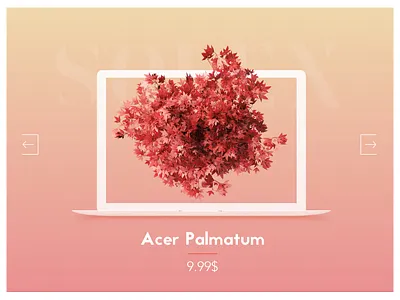 Flower Shop Shot blog classic clean ecommerce flower flower shop hcm nam website woman