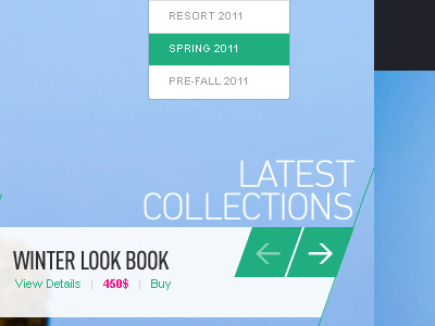 Roopa Pemmaraju - Website - 2011 fashion home page design website design