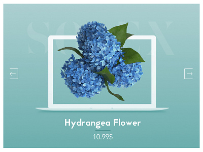 Flower Shop Shot #2 blog classic clean ecommerce flower flower shop hcm nam website woman