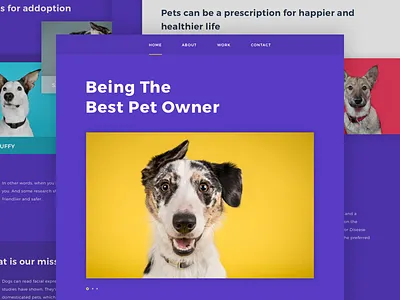 Web UI Kit colorful header kit landing layout pets team testimonial web