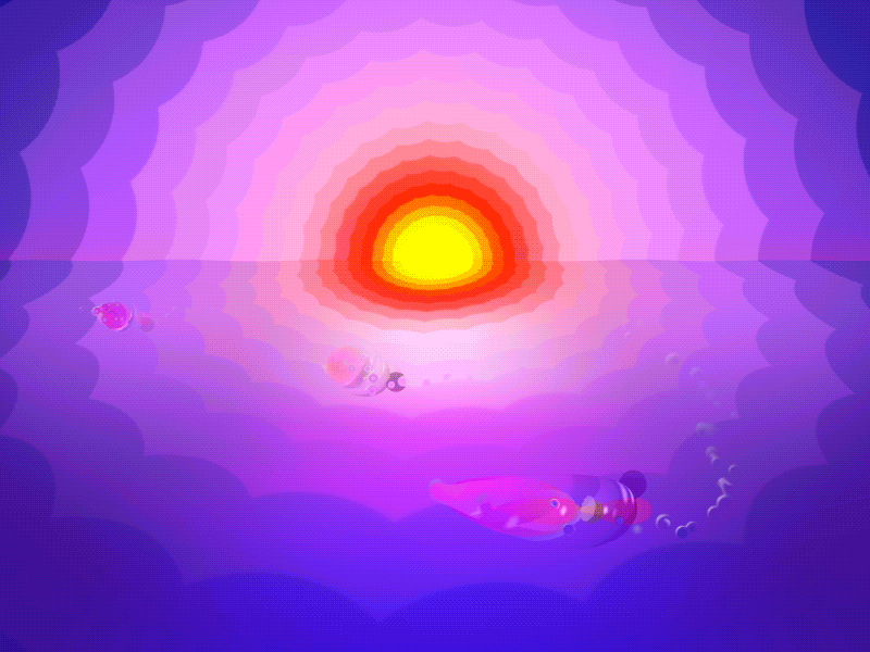 Sunset fish ocean sunset swimming