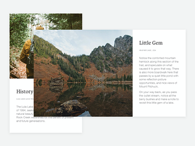 Large Cards blog cards minimal nature ui ux