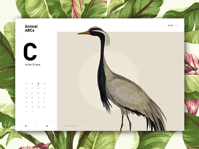 C is for Crane alphabet bird clean floral flowers index menu modern nature white space