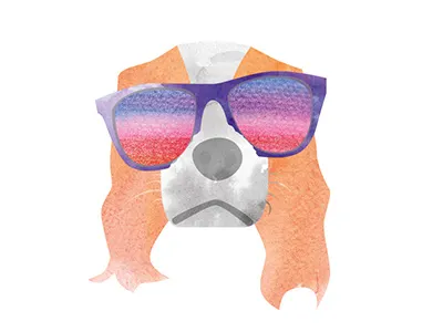 The Empress L colorful cute dog funky glasses illustrator vector watercolor