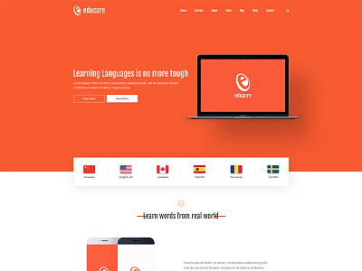 Educare - Template buddypress classes course management courses e learning education forums learning management system lessons lms tutoring