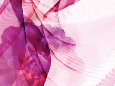 1st Day of Spring explorative design illustrator photoshop visual design