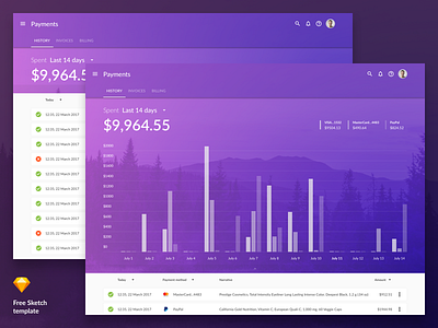 Free Payment History Template free history infographics material design payment sketch stats template web
