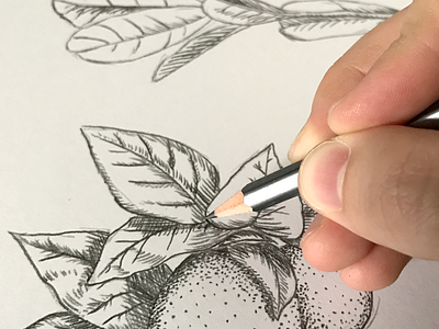 Legacy Sketch brand etching icon plant sketch