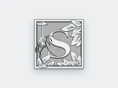 The "S" Initial graphic design icon design illustration illustrator vintage design