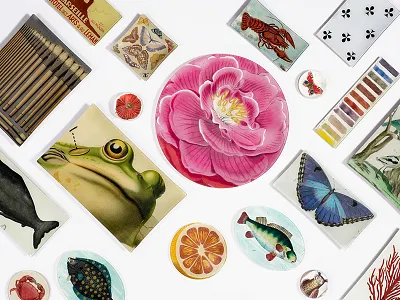 The Conran Shop, Plates Photography Retouch brochure design editorial geometric layout london luxury pattern photography product retouch saddle stitch