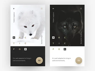 Arctic Fox arctic black clear fox minimalist polar simple ui ui freestyle user interface what if white