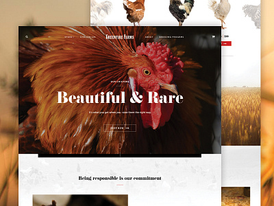Greenfire Farms agency chicken chidozie farm farms fire green taproot ui ui design web design website