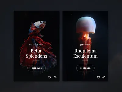 Seaworld black button cards dark design fish jellyfish product red sea web