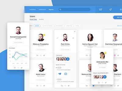Dream Team Section application cards dashboard filters graph grid interface members ui users ux web app