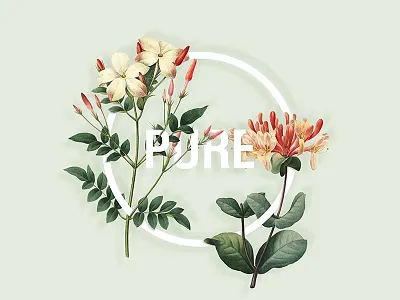 Illustration, Omega Ingredients illustration ingredients london luxury natural organic responsive ui ux website