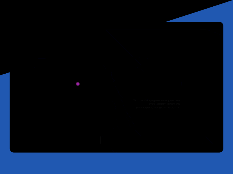 Teddy Riner Landing Page aep animation art direction blue desktop interaction judo sport teddy riner ui ux website