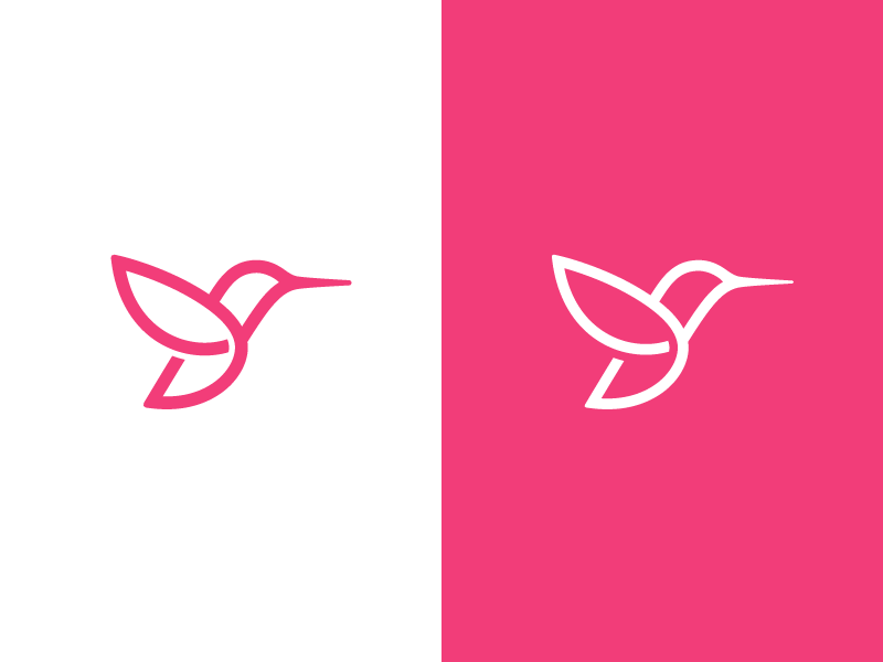Example of Hummingbird