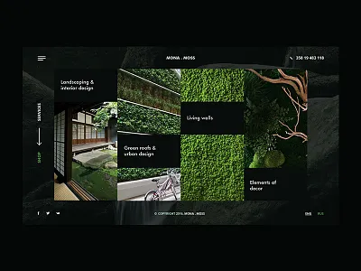 Mona Moss clean digital flat green intelligent minimal moss trends ui ux