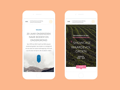 SKB: Homepage + Detailpage branding content strategy identity ui ux webdesign website
