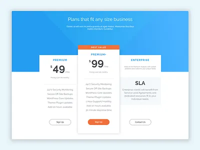Pricing Page freelancer pricing tables theme wordpress wordpress theme design blue