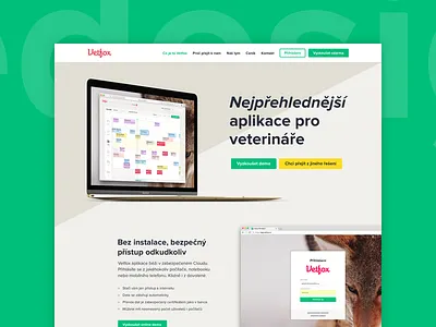 Vetfox Homepage Redesign app homepage redesign saas veterinary vetfox web