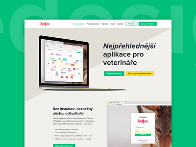 Vetfox Homepage Redesign app homepage redesign saas veterinary vetfox web