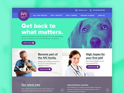 IVC art direction branding design digital interaction web web design