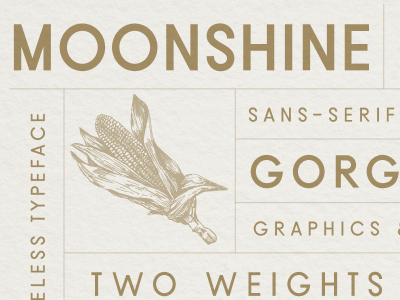 Example of Moonshine Font | A Classic Sans Serif