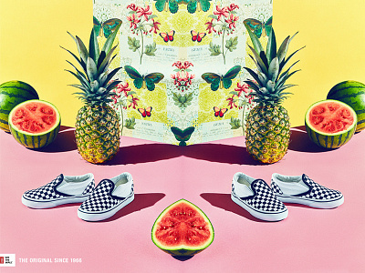 Classic Vans butterfly checker checkered fruit photography pineapple pink product photography shoes vans watermelon