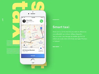 Portfolio taxi case portfolio presentation study web